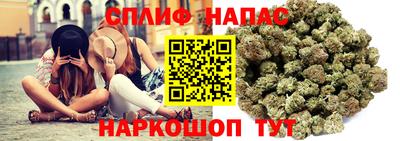 mdpv Обнинск