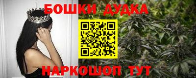 прущие грибы Обь
