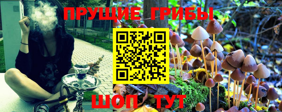сколько стоит  Вход с VPN  Сокол  Псилоцибиновые грибы GOLDEN TEACHER  Псилоцибиновые грибы ЛСД 